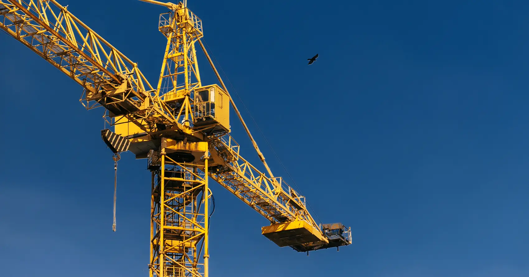 A yellow construction crane against a clear blue sky with a single bird flying nearby.