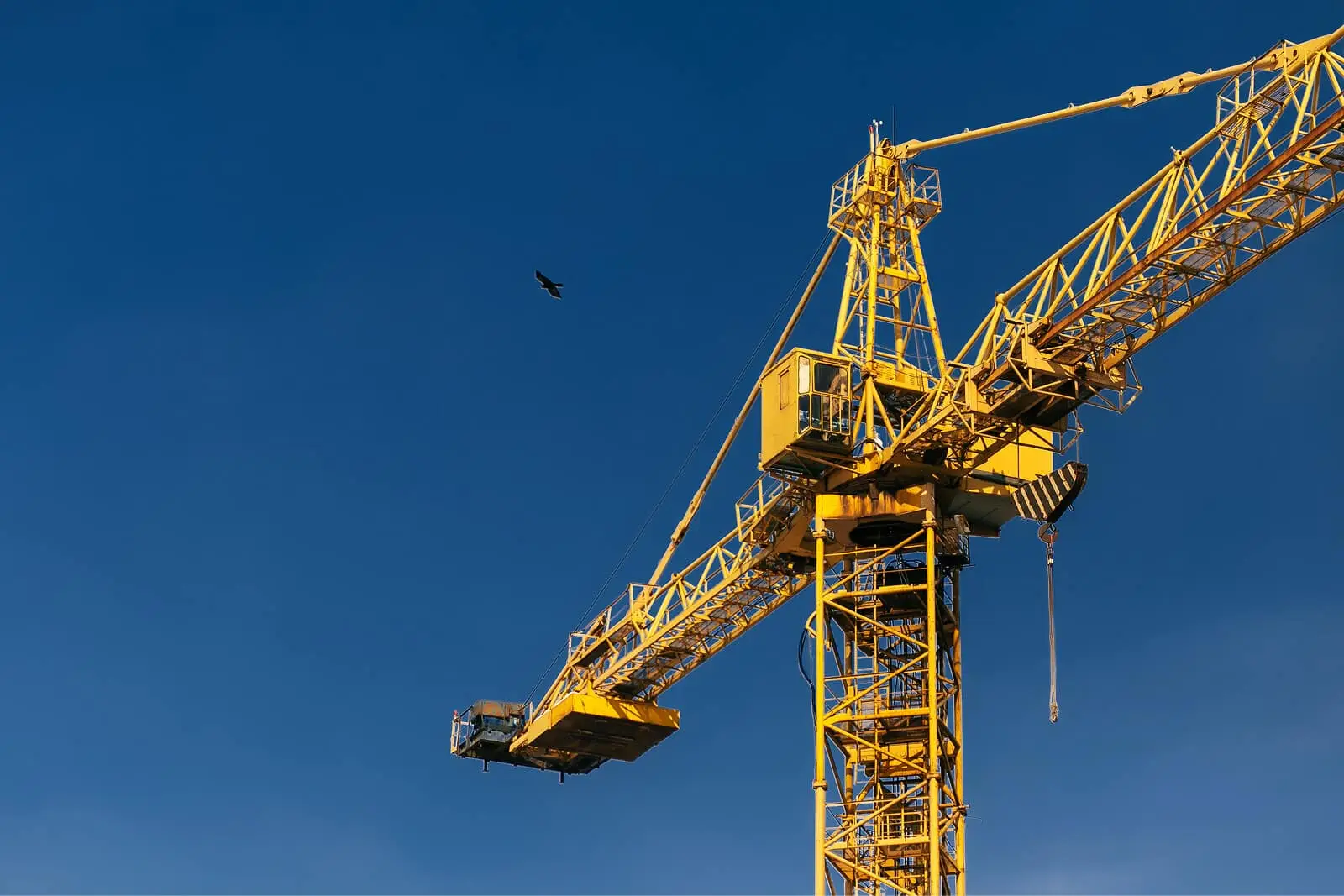 A yellow construction crane set against a clear blue sky with a single bird flying nearby.